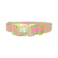 Pink Citrus Dog Collar - plastic gold