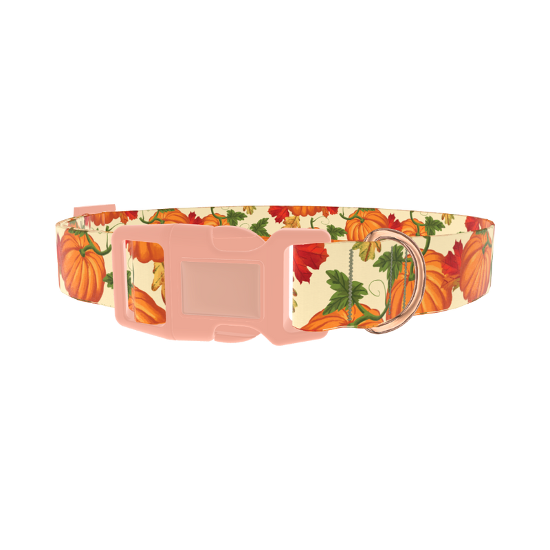 Autumn Pumpkin Dog Collar - plastic rose gold