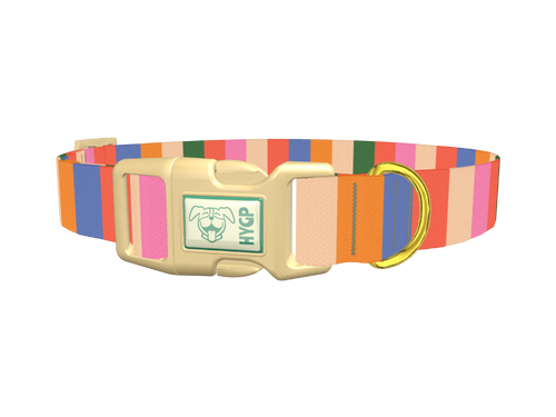 Colorful Stripe Pattern Dog Collar