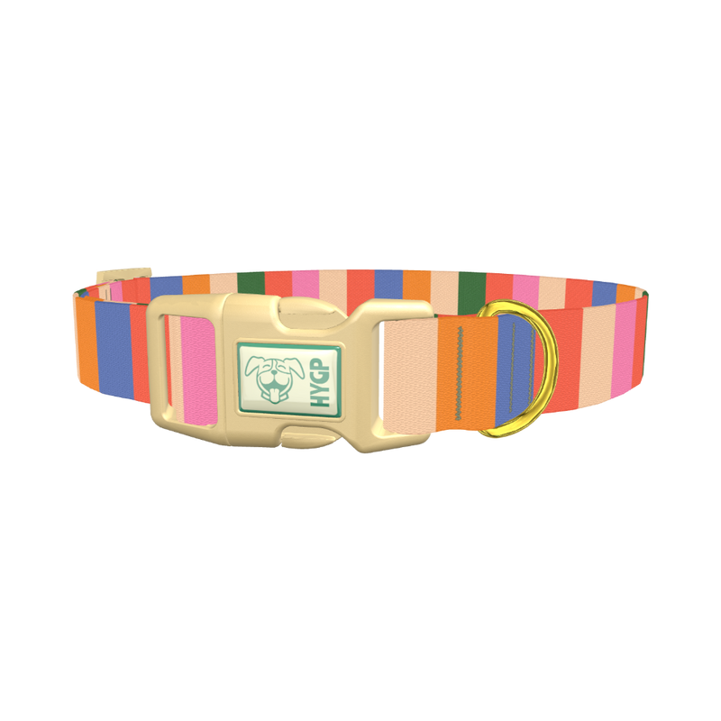 Colorful Stripe Pattern Dog Collar - plastic gold