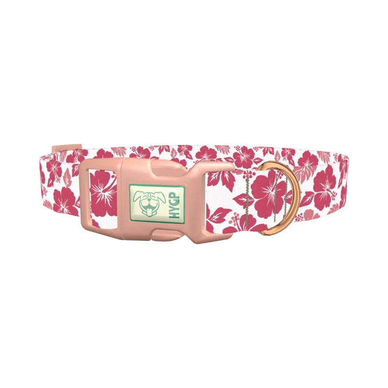 Hibiscus Blossom Dog Collar - plastic rose gold