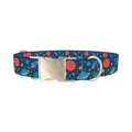 Space Adventure Dog Collar - metal silver