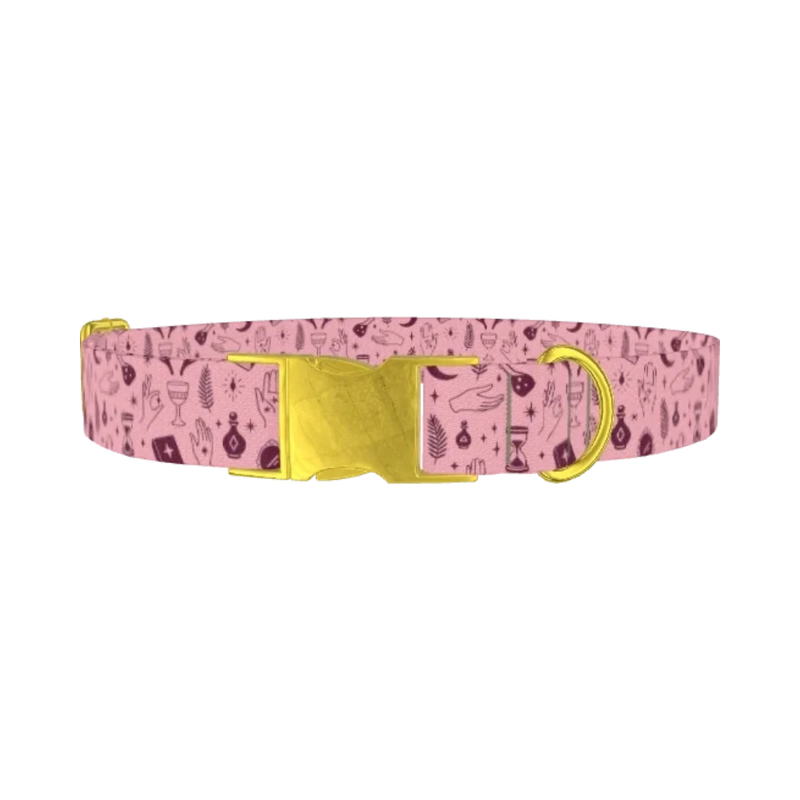 Halloween Palmistry Dog Collar - metal gold