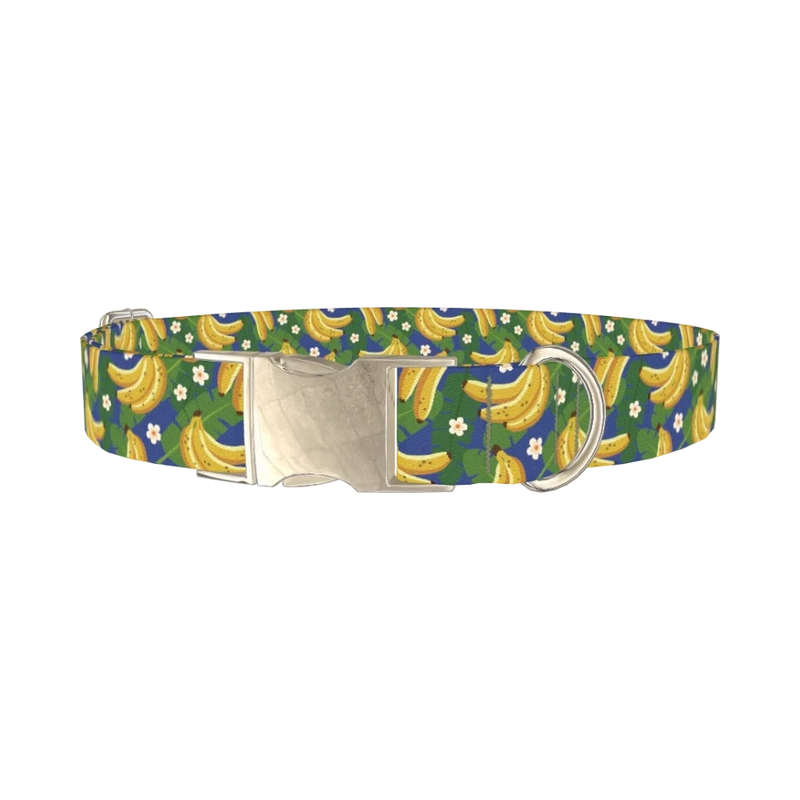 Tropical Banana Leaf Dog Collar - metal silver