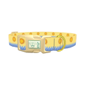 Beach Sun Dog Collar - plastic gold