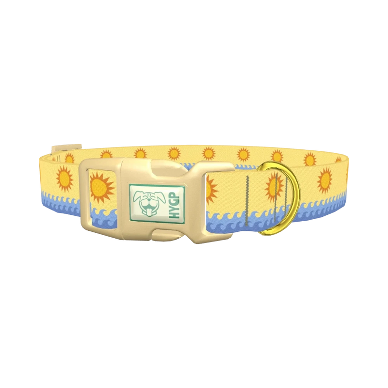 Beach Sun Dog Collar - plastic gold