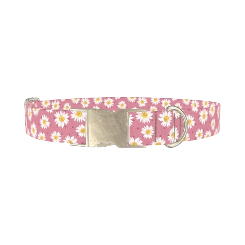 Pink Daisy Dog Collar - metal silver