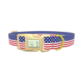 Patriotic Stars Dog Collar - plastic gold