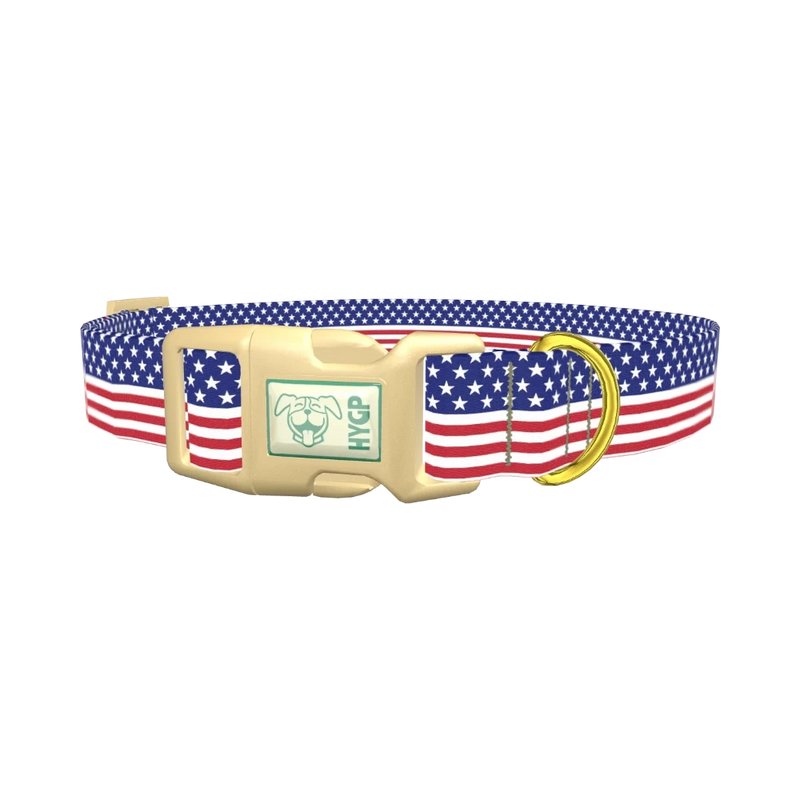 Patriotic Stars Dog Collar - plastic gold