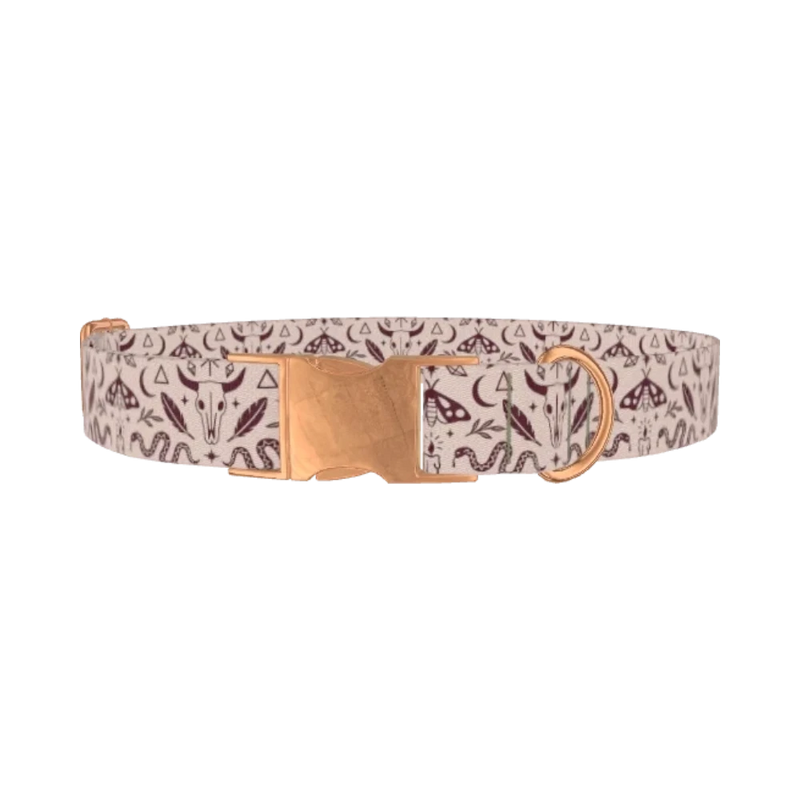 Halloween Witchy Dog Collar - metal rose gold