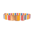 Yellow Pink Blue Striped Dog Collar - metal rose gold