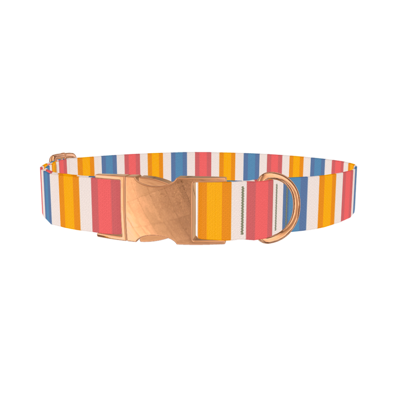 Yellow Pink Blue Striped Dog Collar - metal rose gold