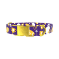 Football Theme Dog Collar - metal gold