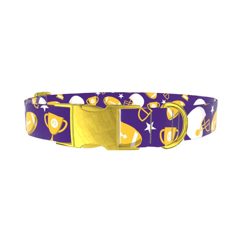 Football Theme Dog Collar - metal gold