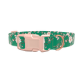 Floral Butterfly Dog Collar - plastic silver