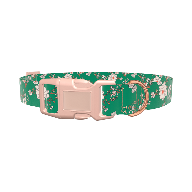 Floral Butterfly Dog Collar - plastic silver