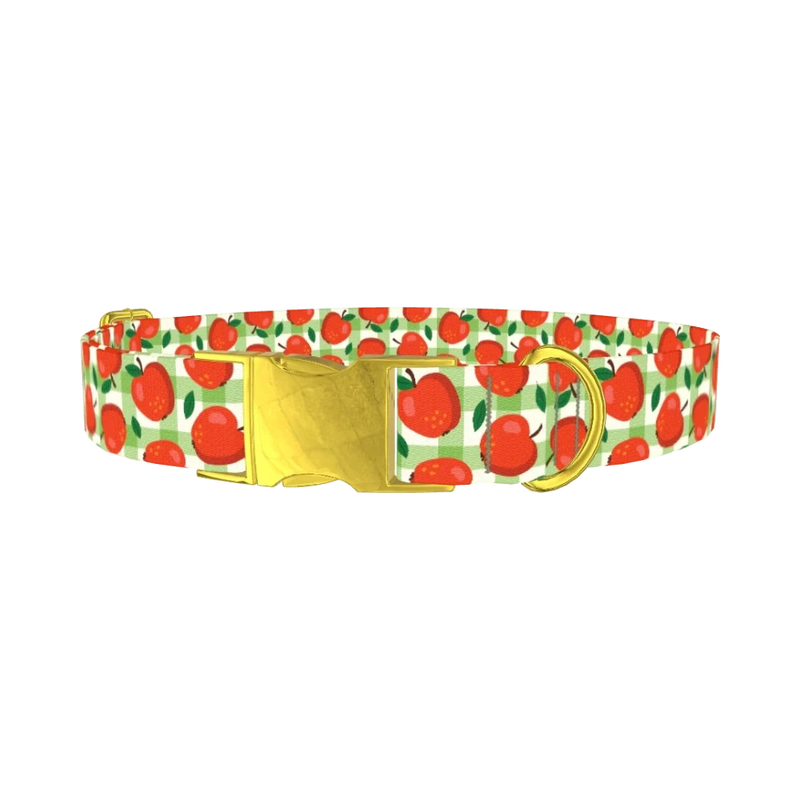 Apple Picnic Dog Collar - metal gold