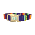 Colorful Stripes Dog Collar - plastic gold