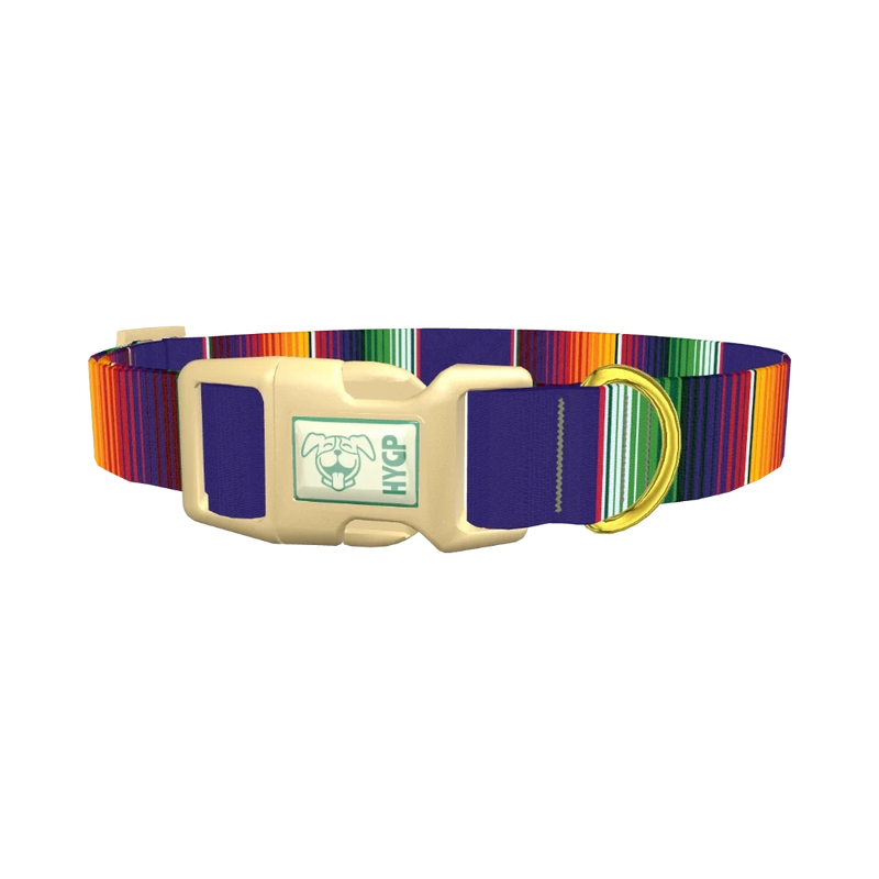 Colorful Stripes Dog Collar - plastic gold