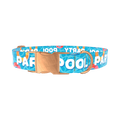 Pool Party Dog Collar - metal silver