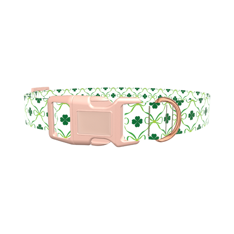 Shamrock Ribbon Dog Collar - plastic gold