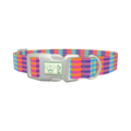 Color Block Stripes Dog Collar - plastic silver