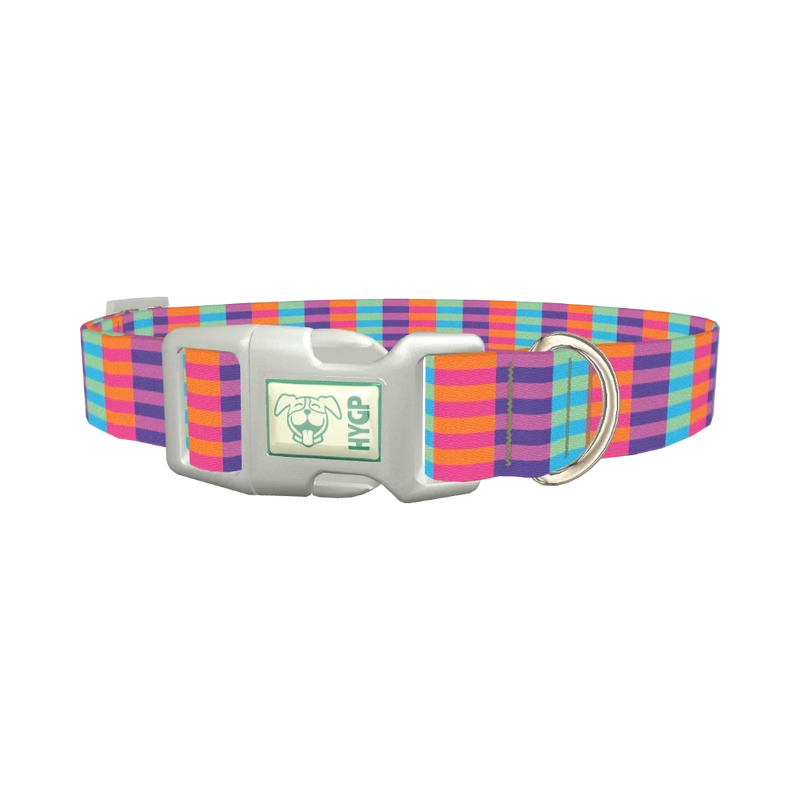 Color Block Stripes Dog Collar - plastic silver