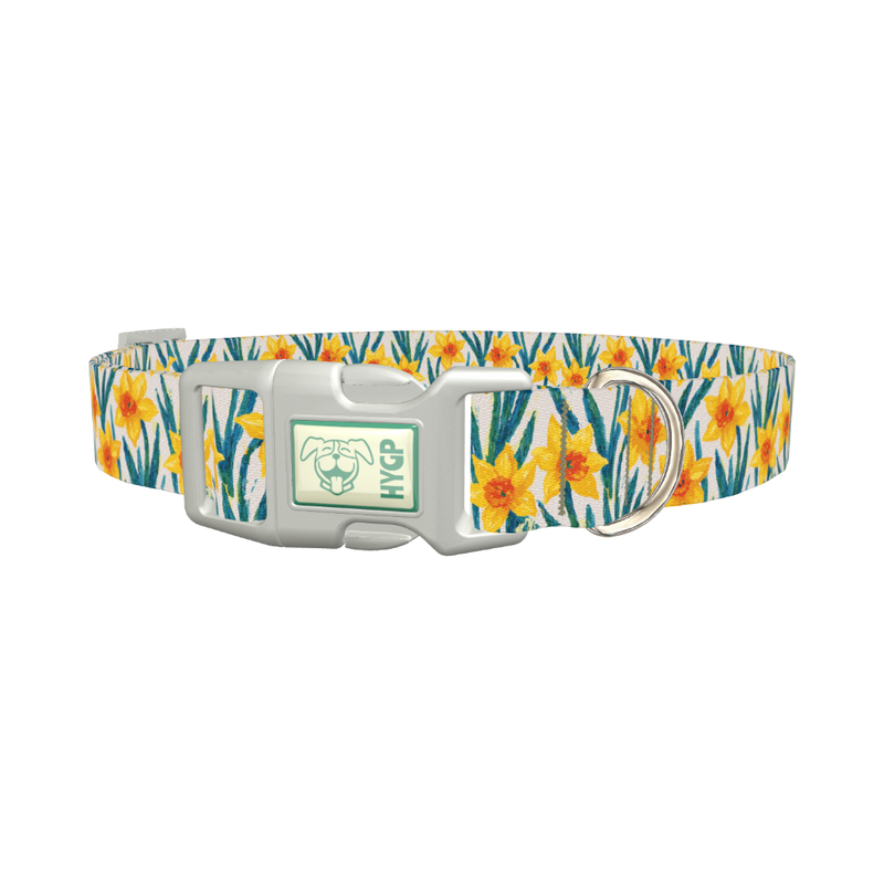 Yellow Daffodil Dog Collar - plastic silver