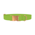 Seductive Thorns Color Dog Collar - metal rose gold