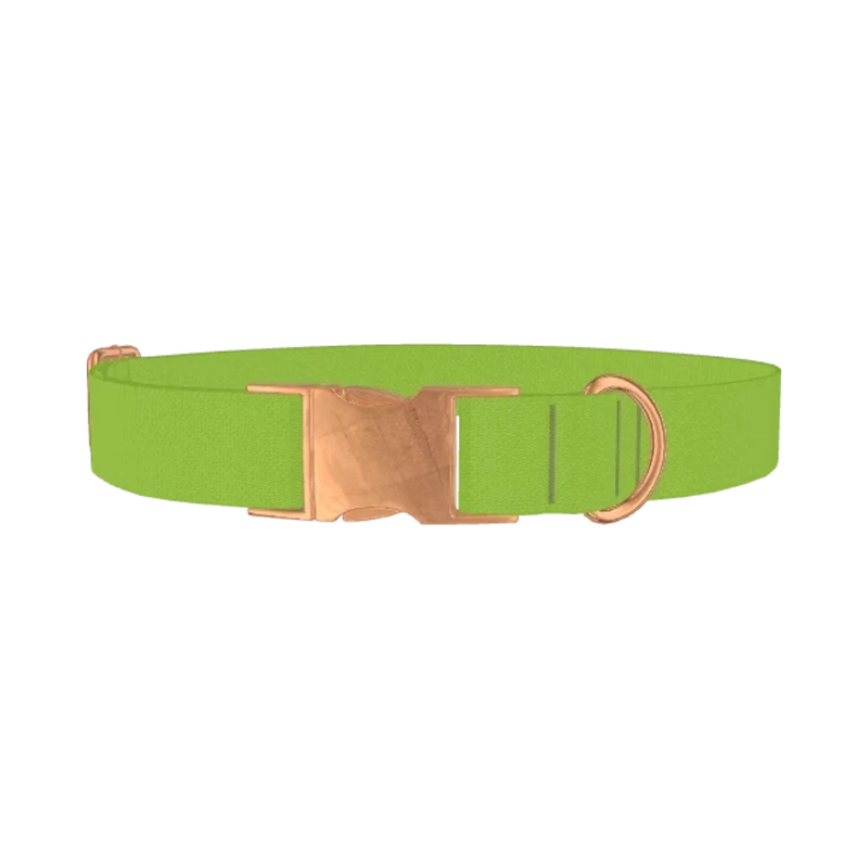 Seductive Thorns Color Dog Collar - metal rose gold
