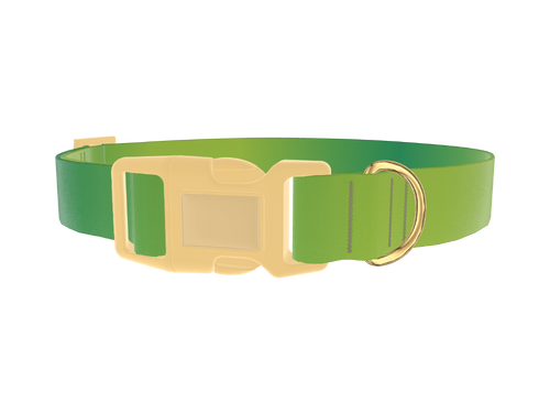 Green Gradient Dog Collar