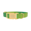 Green Gradient Dog Collar - plastic gold