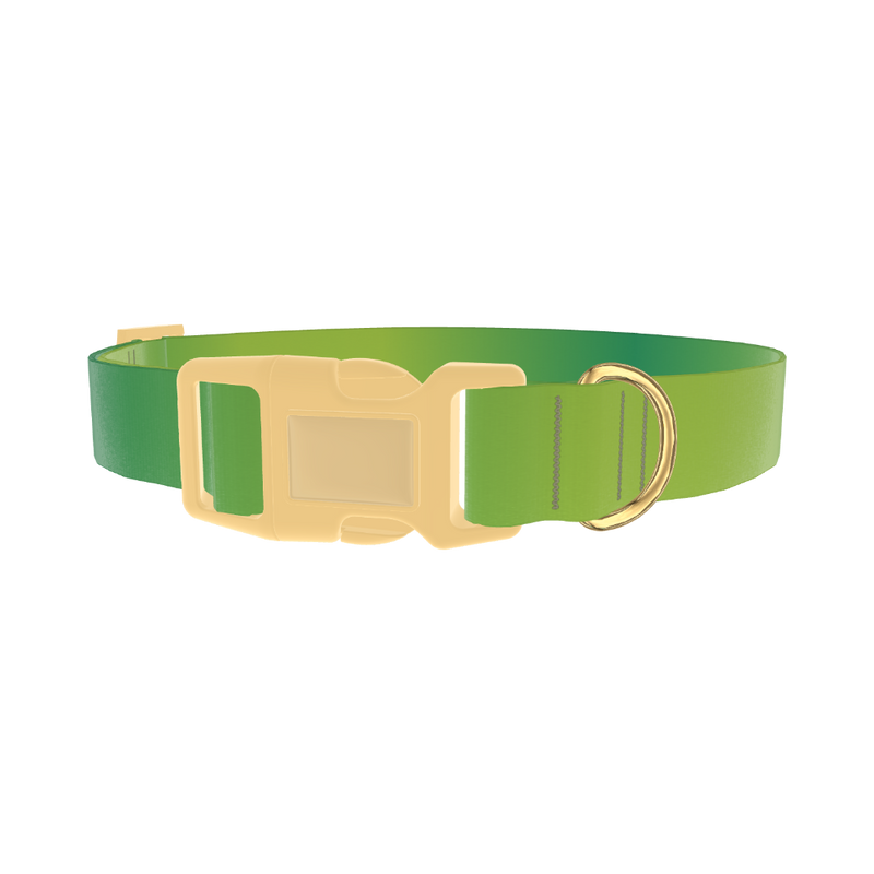 Green Gradient Dog Collar - plastic gold