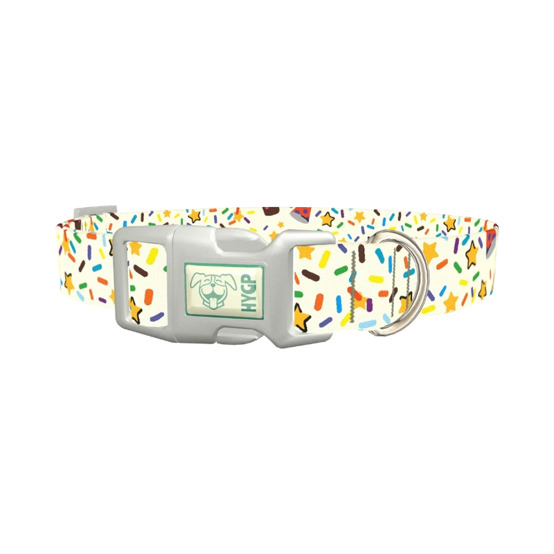 Birthday Boy Celebration Dog Collar - plastic silver