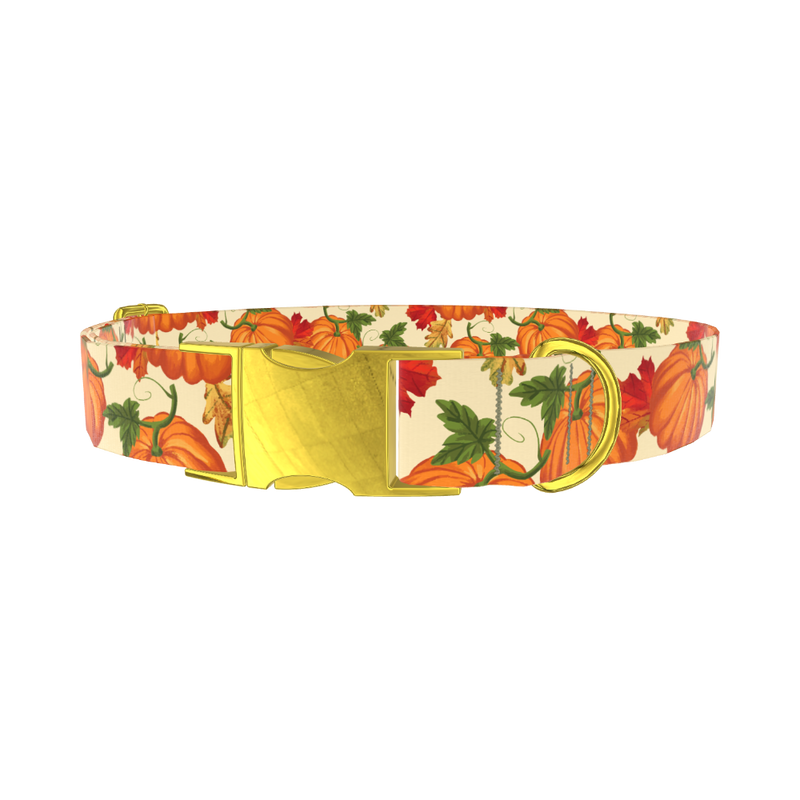 Autumn Pumpkin Dog Collar - metal gold