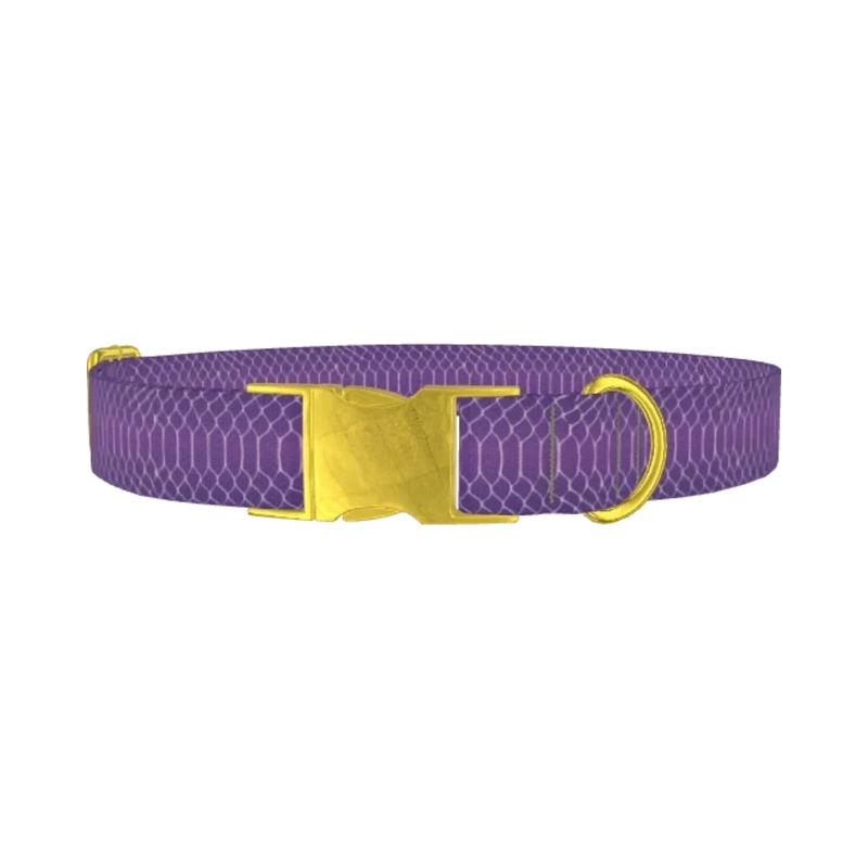 Purple Snake Print Dog Collar - metal gold