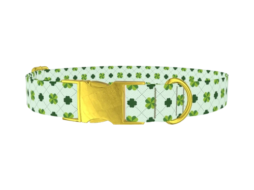 StPatricks11_DottedLine