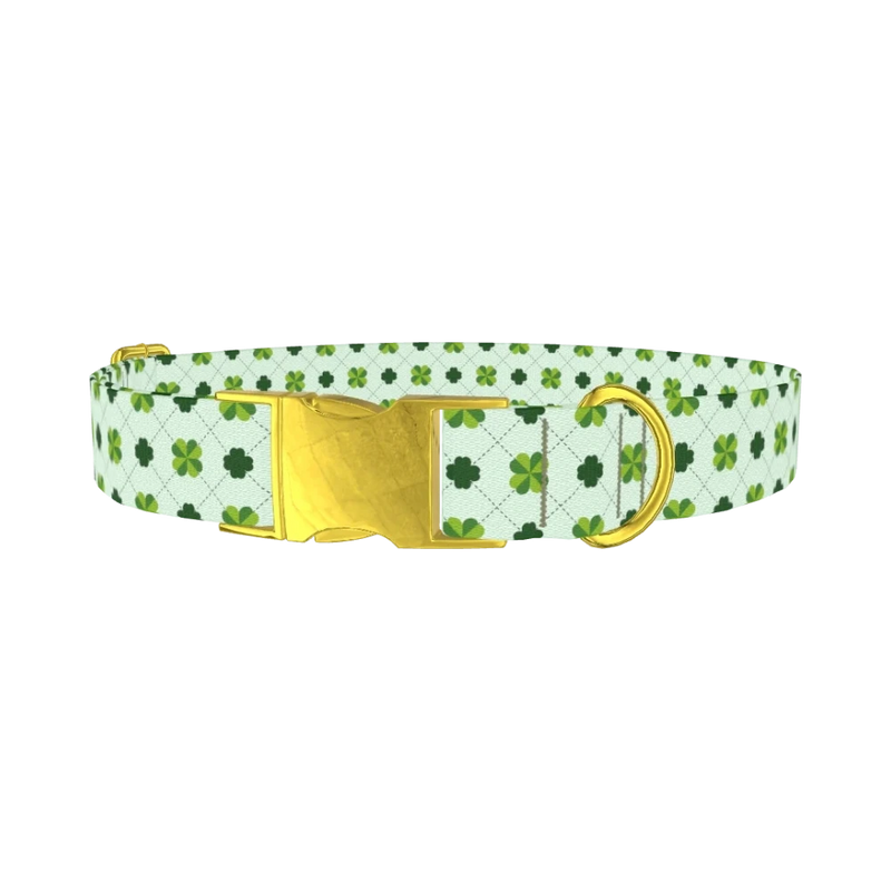 Dotted Clover Line Dog Collar - metal gold