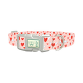 Flying Heart Dog Collar - plastic silver