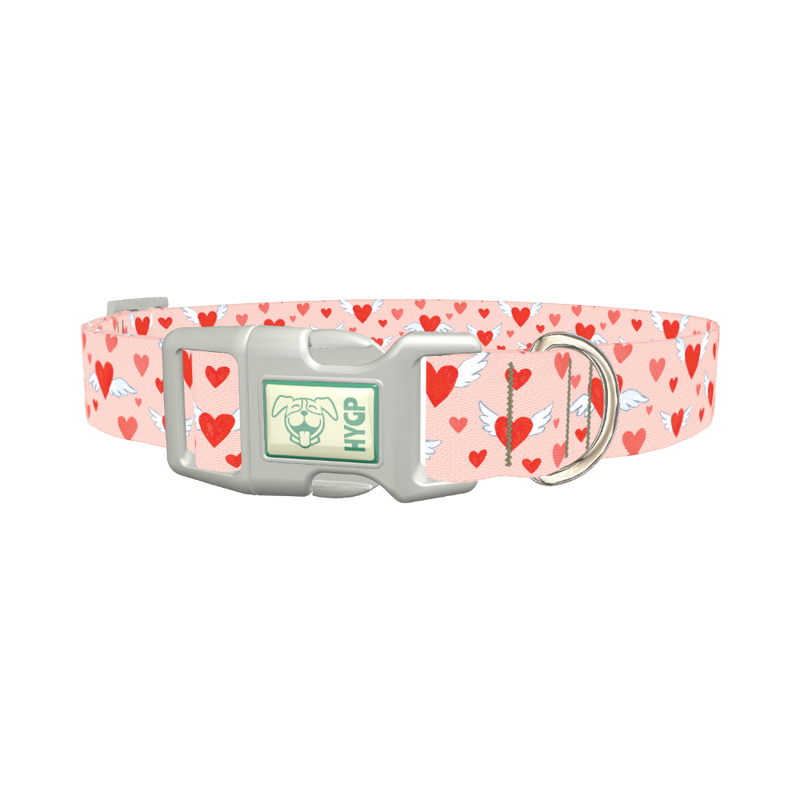 Flying Heart Dog Collar - plastic silver