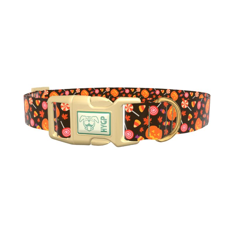 Halloween Candy Pumpkin Dog Collar - plastic silver
