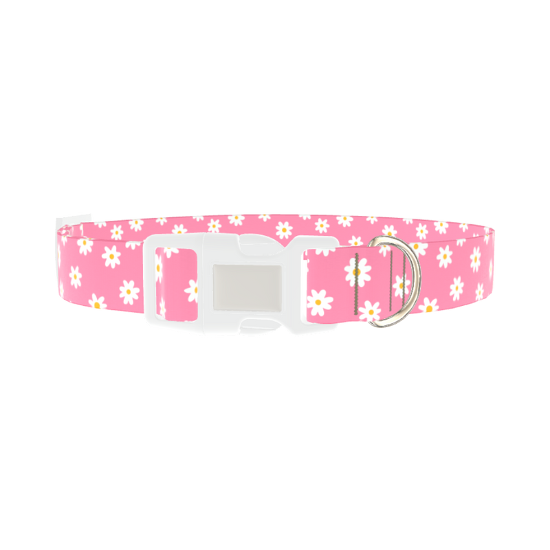 White Daisy Pink Dog Collar - plastic silver