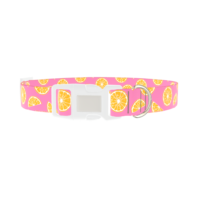 Pink Citrus Burst Dog Collar - plastic silver