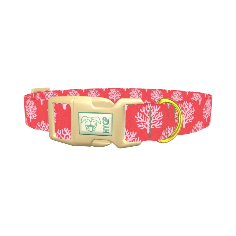 Coral Pattern Dog Collar - plastic gold