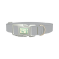 Microchip Color Dog Collar - plastic silver