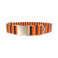 Halloween Stripe Dog Collar - metal gold