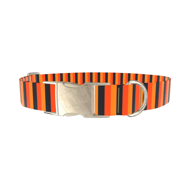 Halloween Stripe Dog Collar - metal gold