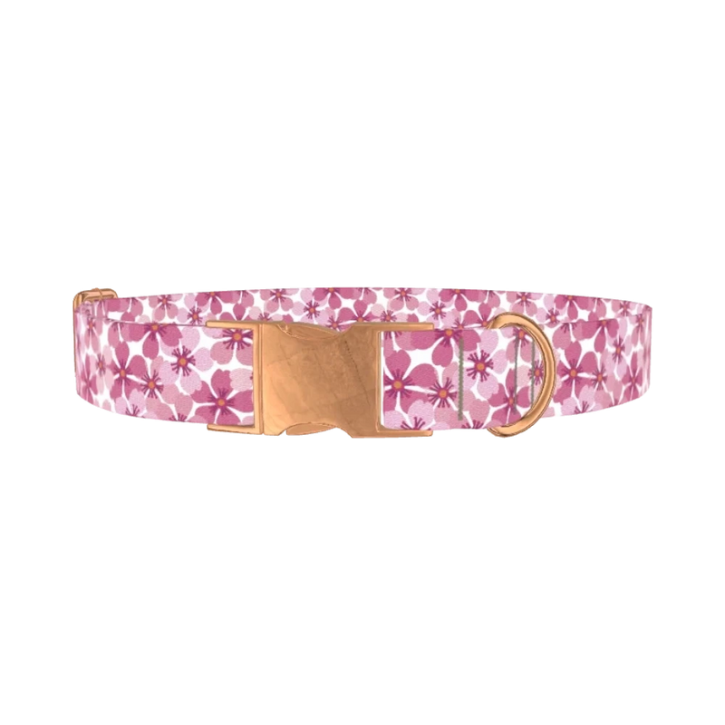 Pink Sakura Blossom Dog Collar - metal rose gold