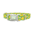 Yellow Duck Pattern Dog Collar - plastic silver
