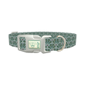 Art Deco Fan Dog Collar - plastic silver
